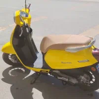 بنلی پانارئا اصل ایتالیایی