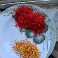 زعفران درجه یک خوش طعم و تازه
