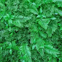 پخش عمده چمن مصنوعی و گرینوال|گل مصنوعی|شیراز, اصلاح‌نژاد|دیوار