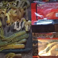 طعمه های مخصوص اردک ماهی و ..