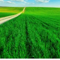 فروش-یک-قطعه-زمین-مخصوص-باغ-شهری-فیروزآباد