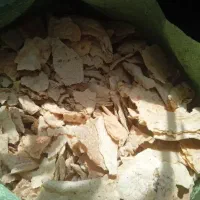 نان خشک ده تن دارم