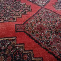 قالی کوردی|فرش|سنندج, |دیوار