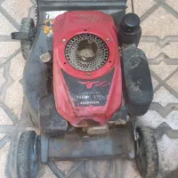 چمن زن