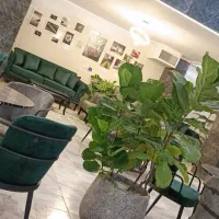 سالن دار و باریستا