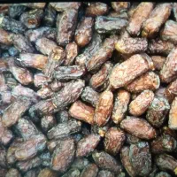 فروش عمده خرما پیارم تناژ