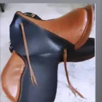 مبل میخوای فقط همین زین|اسب و تجهیزات اسب‌سواری|امامزاده عبدالله, |دیوار