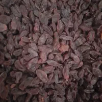 مویز تازه گوشتین