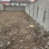 علف.زنی چمن .زنی صومعه سرا فومن شفت