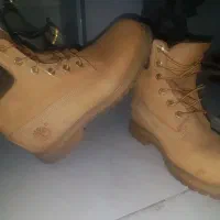 تیم برلند|کیف، کفش، کمربند|مشهد, ثامن|دیوار