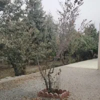باغ 500 متری با برق شخصی