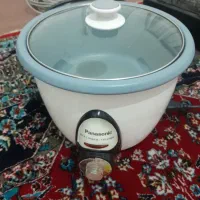 پلوپز پاناسونیک