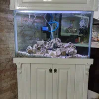 آکواریوم با لوازم