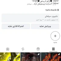 پیج تبریز با ۳۵ هزار نفر فالور واقعی ترک و تبریزی