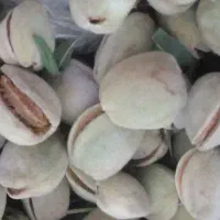 بادام آجیلی تازه