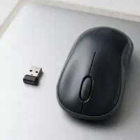 دو عدد موس بیسیم