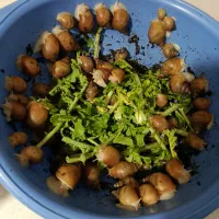 حلزون درمانی