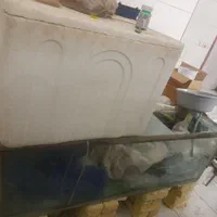 آکواریوم سالن ماهی|ماهی|اصفهان, راران|دیوار