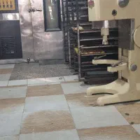 فروش فر گردون ۳۲ دیس بخار دار