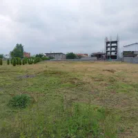 200م زمین جنگلی/انشعابات سر ملک‌.سند تک برگ|فروش زمین و ملک کلنگی|چمستان, |دیوار