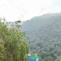 هم سفر