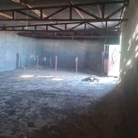 فروش دامداری(بره پرواری) با سند شش دانگ|فروش دفتر صنعتی، کشاورزی، تجاری|تربت‌حیدریه, بهشت عسکری|دیوار