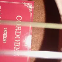 گیتار|گیتار، بیس، امپلیفایر|کیش, |دیوار