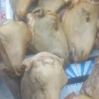 کله پاچه|خوردنی و آشامیدنی|مسجد سلیمان, |دیوار