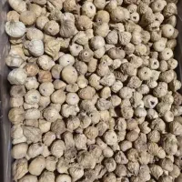 اجیل و انجیر