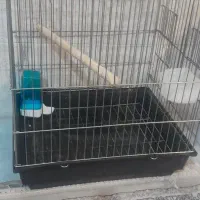 قفس پرنده