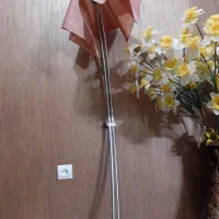 آباژور|چراغ خواب و آباژور|ری, شهادت|دیوار