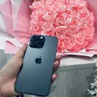 14پرومکس