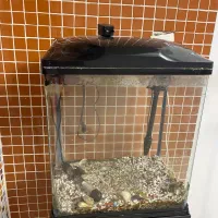 آکواریوم آماده|ماهی|گرگان, |دیوار