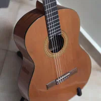 گیتار فرناندز