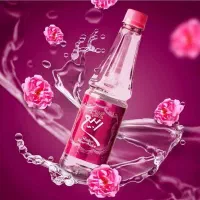 استخدام راننده پایه 2 ( بدون خودرو)