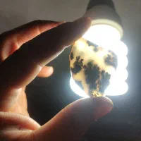 سنگ شجر فسا