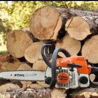 خریدار انواع چوب