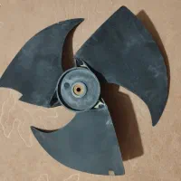 پروانه