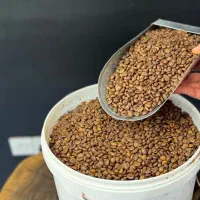 پخش کیلو و عمده