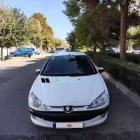 اس دی وی 8 یک لکه رنگ