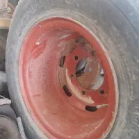 رنگ و بچه رنگی