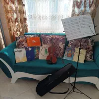 ویولن دست ساز|ویولن|شهریار, شهرک وائین|دیوار