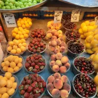 کار در منزل  با دستگاه میوه خشک کن اقساط و نقد