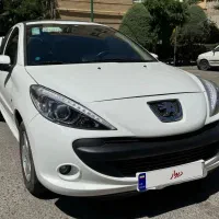 207 پانا 1404 در حد خشک
