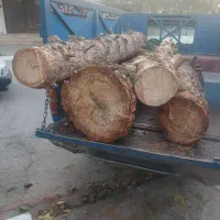 خرید انواع چوب و هرس کردن درختان با اره موتوری