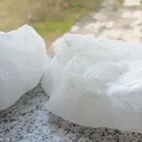 محیط زندگی و بدنتو با اینا پاکسازی کن|عمده‌فروشی|رشت, کاکتوس|دیوار