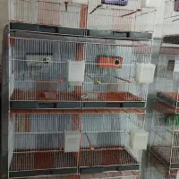 قفس پرنده فروشی توافقی در حدنو|لوازم جانبی حیوانات|اهواز, کوی مندلی(سه راه خرمشهر)|دیوار