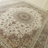 فرش کارکرده|فرش|همدان, |دیوار