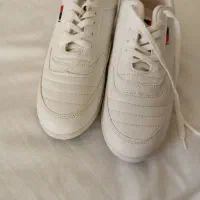 کفش مردانه نو