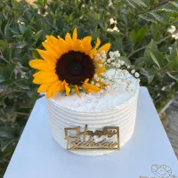 استخدام نیرو خانم جهت خامه کاری قنادی